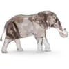 Elegance of Africa SCS Jubiläumsausgabe 2022 Elefant Zena