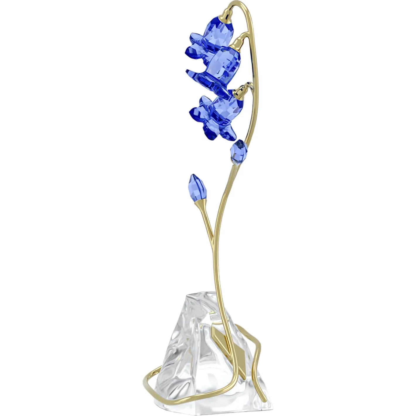Florere Blaue Glockenblume