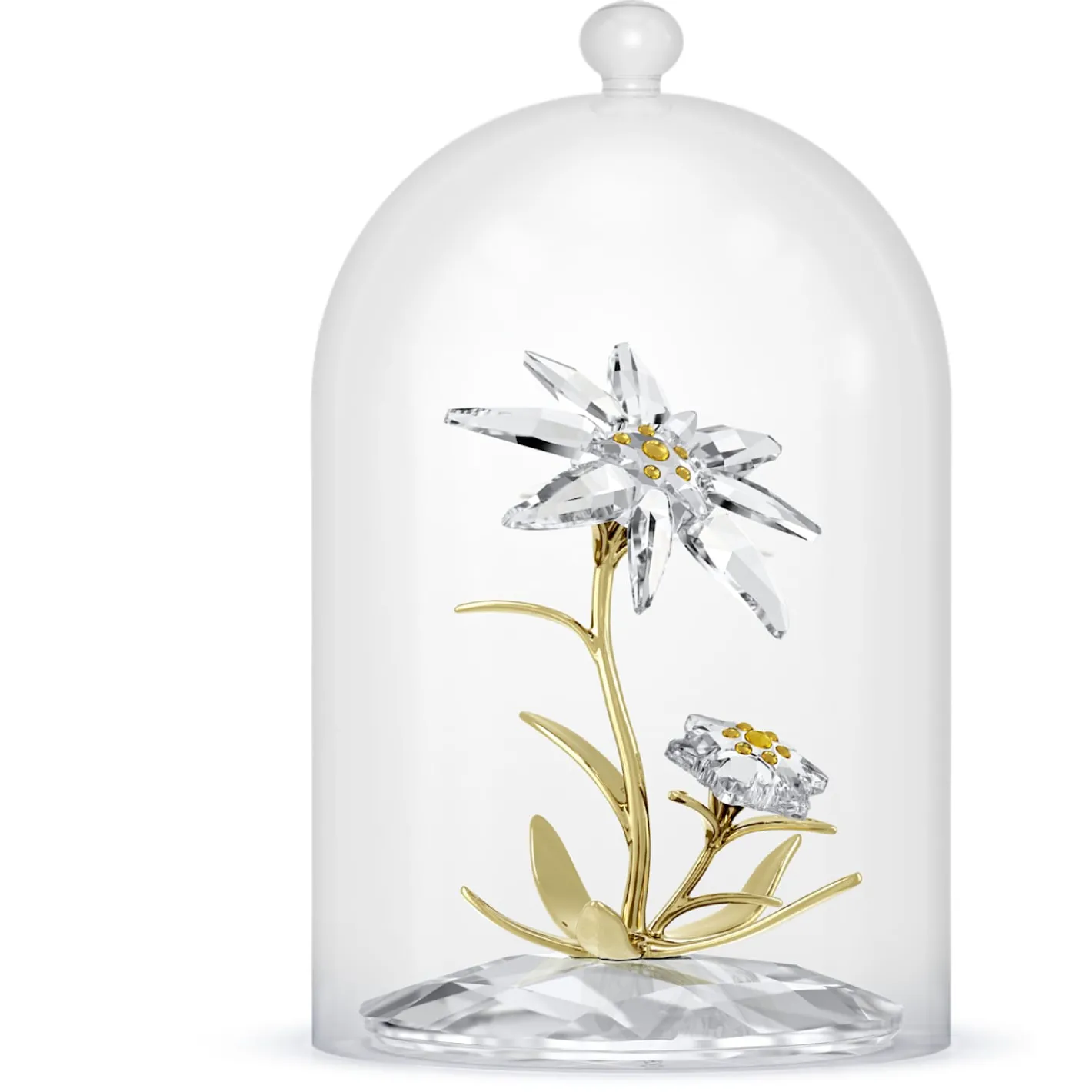 Florere Jubiläums-Glasglocke 130 Jahre