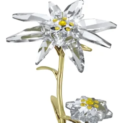 Florere Jubiläums-Glasglocke 130 Jahre