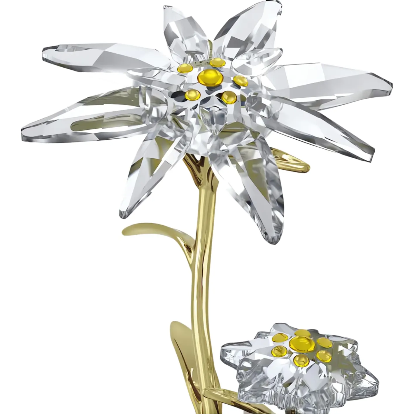 Florere Jubiläums-Glasglocke 130 Jahre