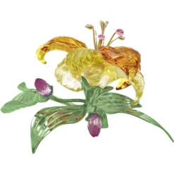 Florere Lilie