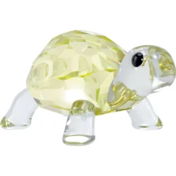 Idyllia Baby-Schildkröte