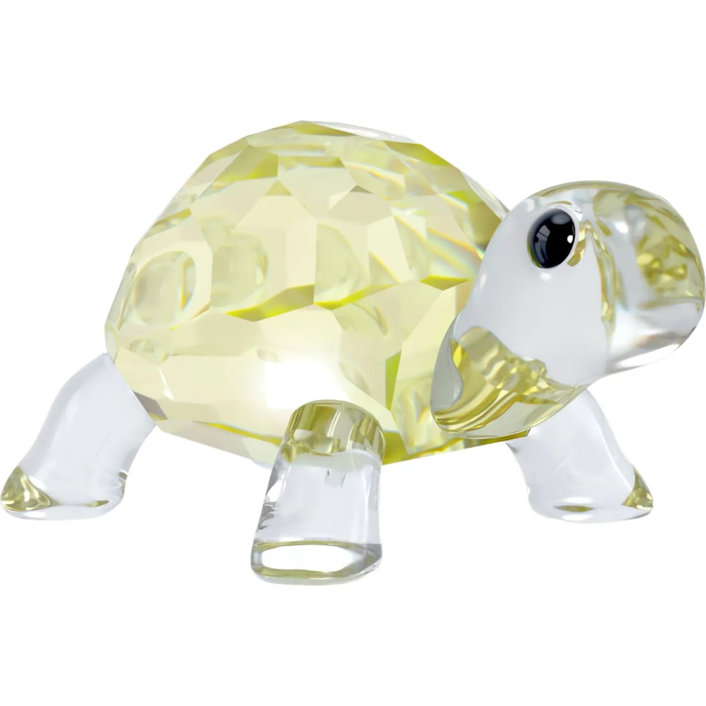 Idyllia Baby-Schildkröte