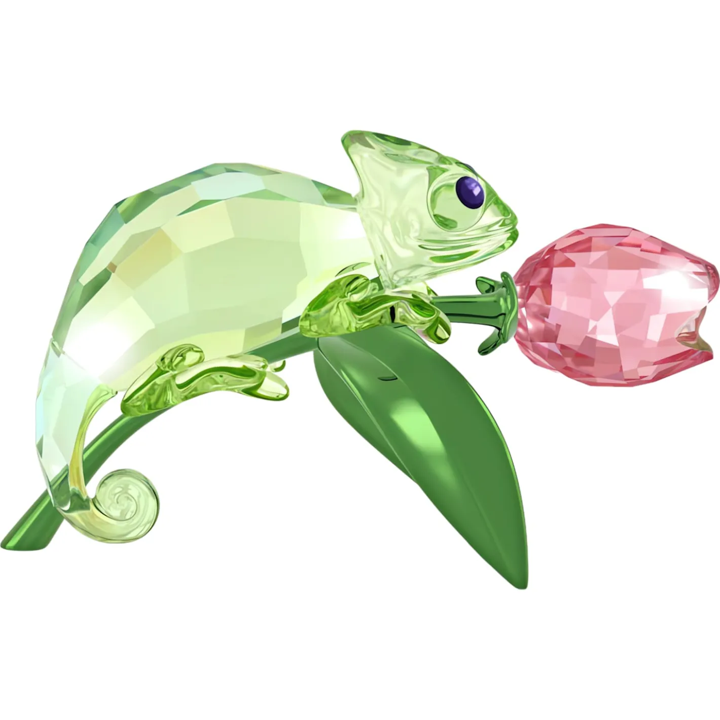 Idyllia Chamäleon und Tulpe