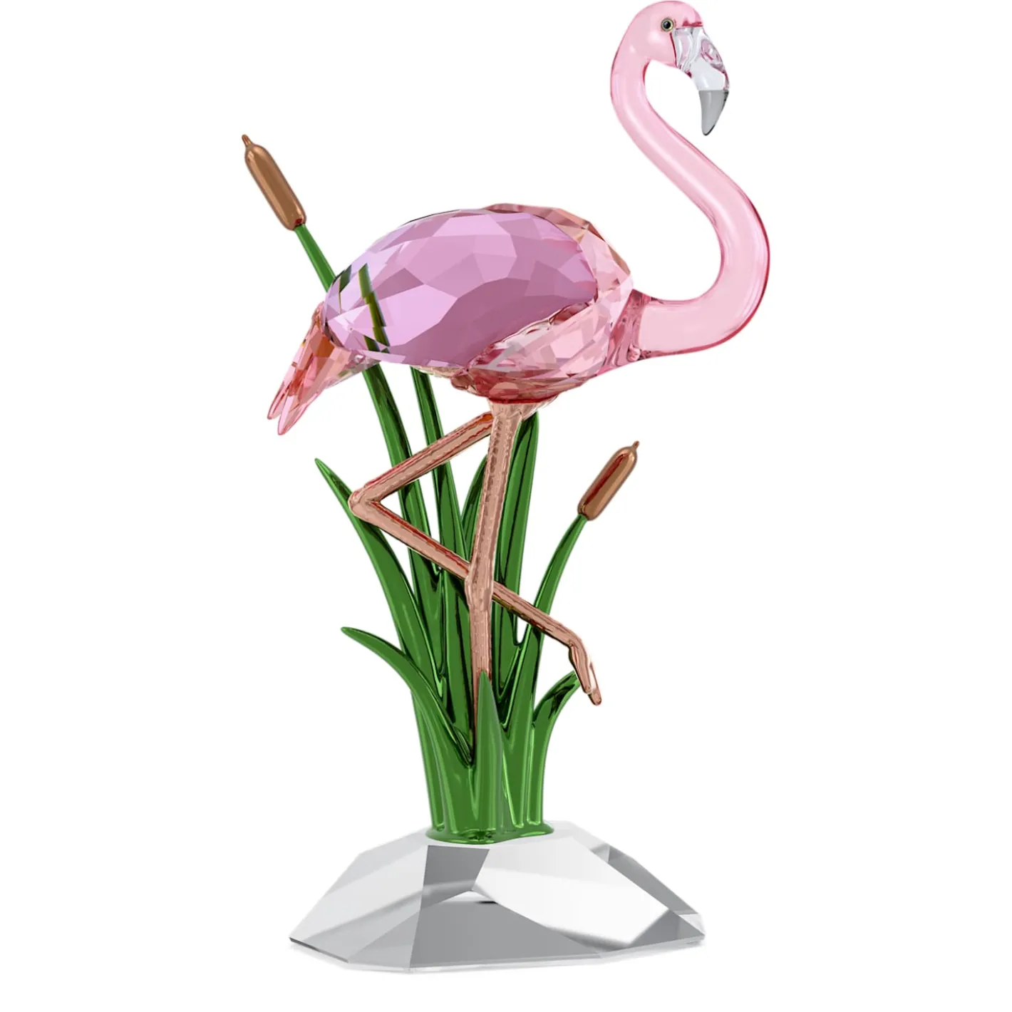 Idyllia Flamingo