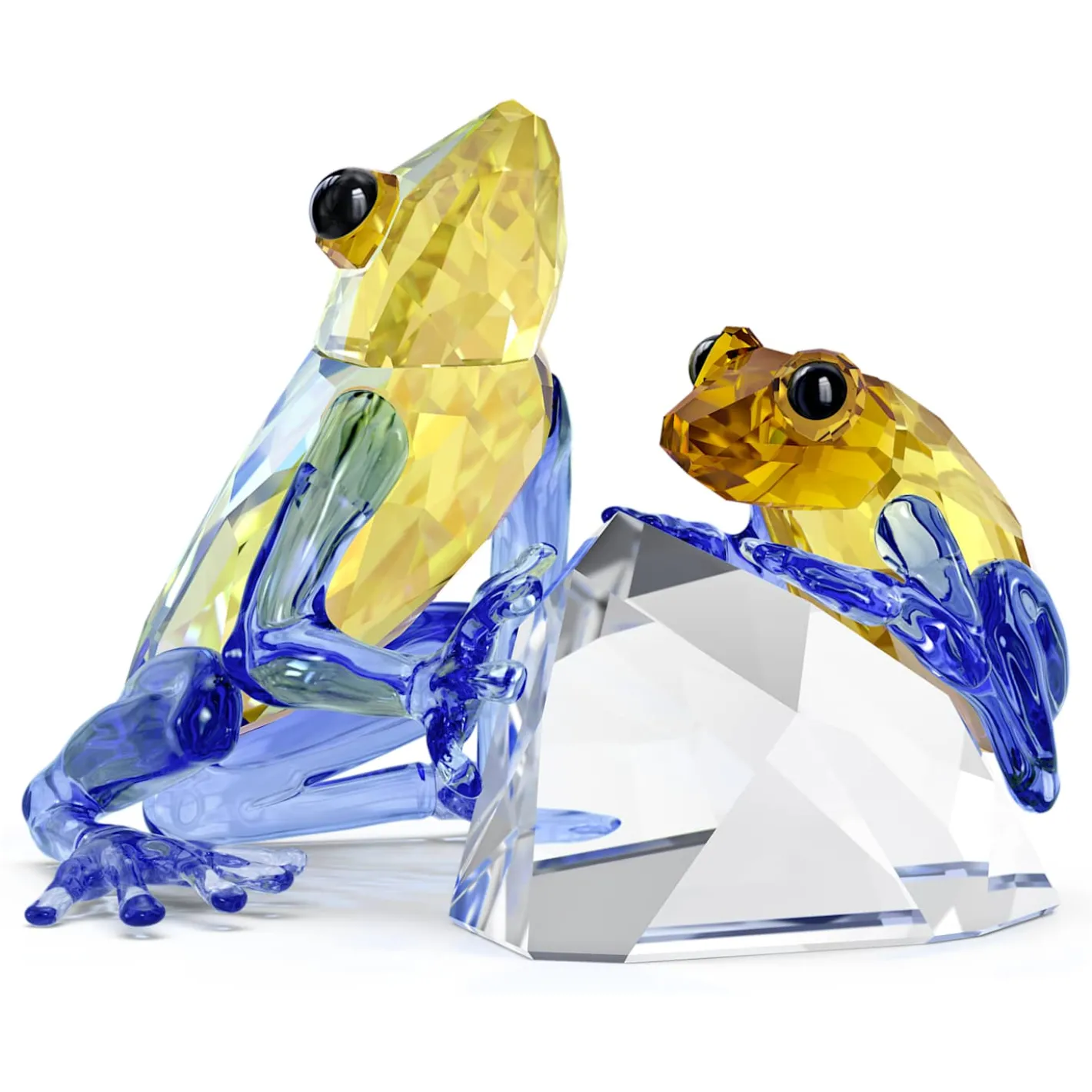 Idyllia Frosch und Froschbaby