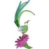 Idyllia Honigfresser und Kaktusblume