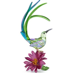 Idyllia Honigfresser und Kaktusblume