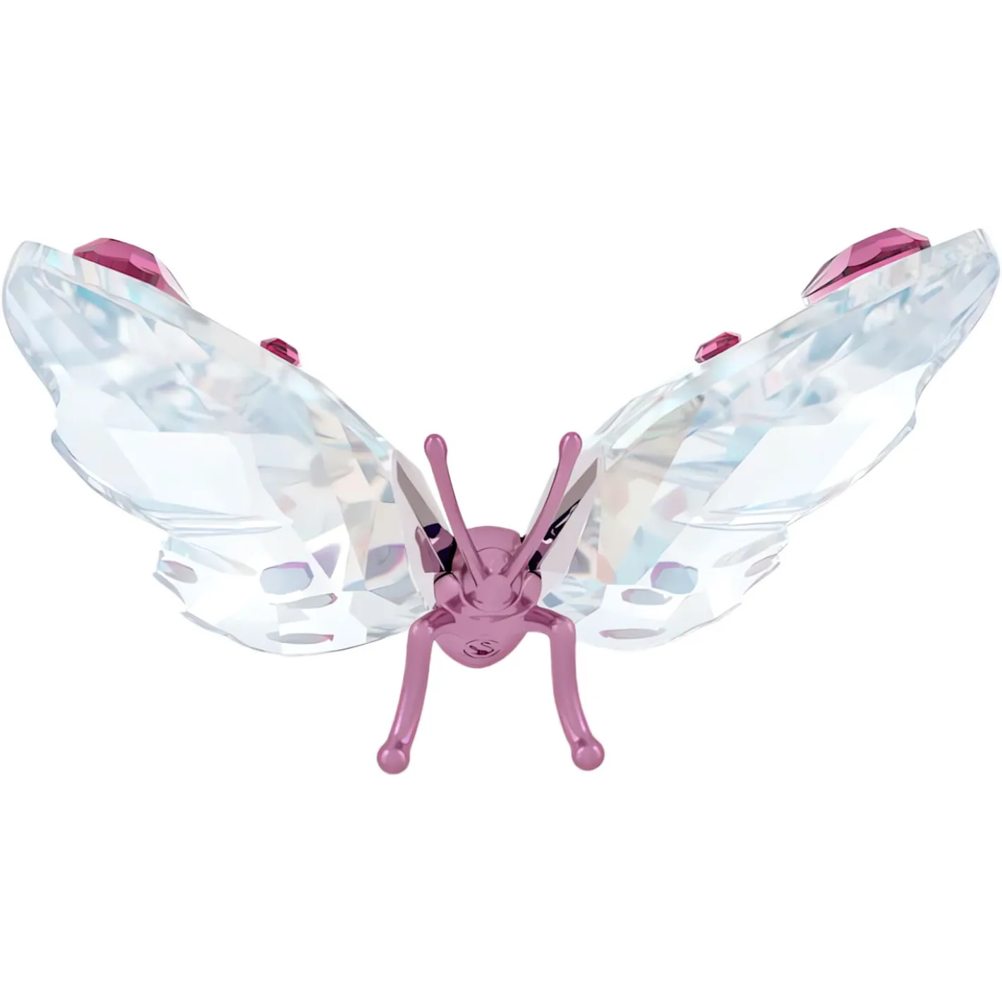 Idyllia Schmetterling