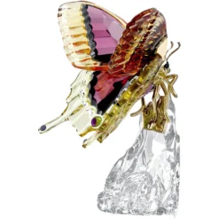 Idyllia Schmetterling