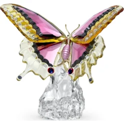 Idyllia Schmetterling