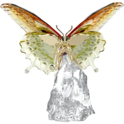 Idyllia Schmetterling