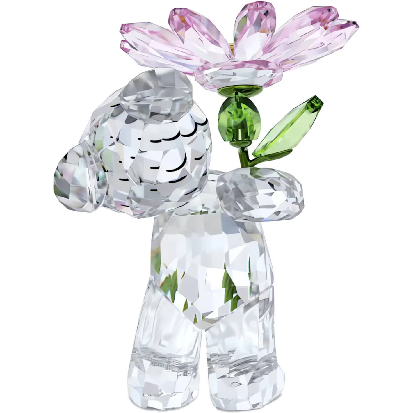 Kris Bär Ein Gänseblümchen für Dich