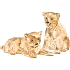 SCS Amur Leopardenbabys