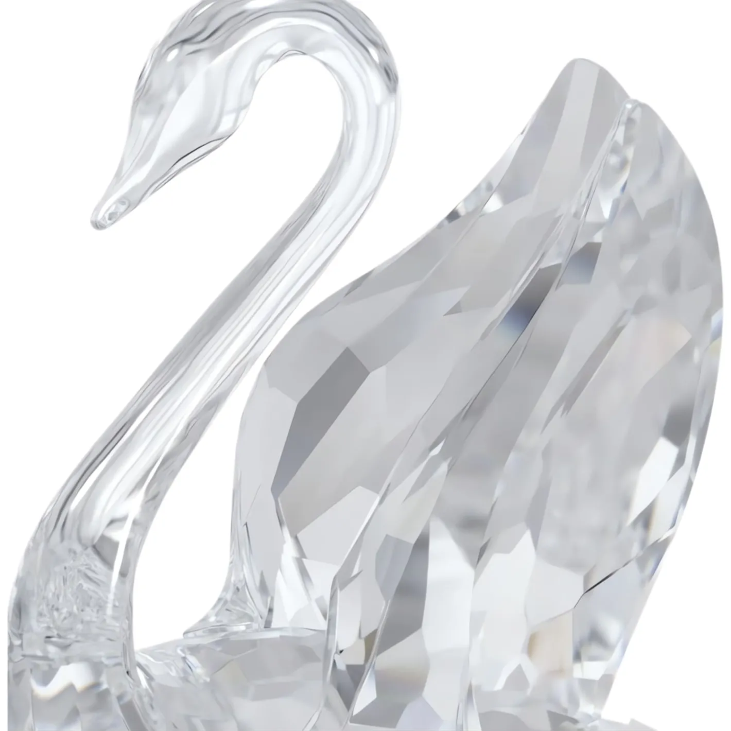 Signum Schwan