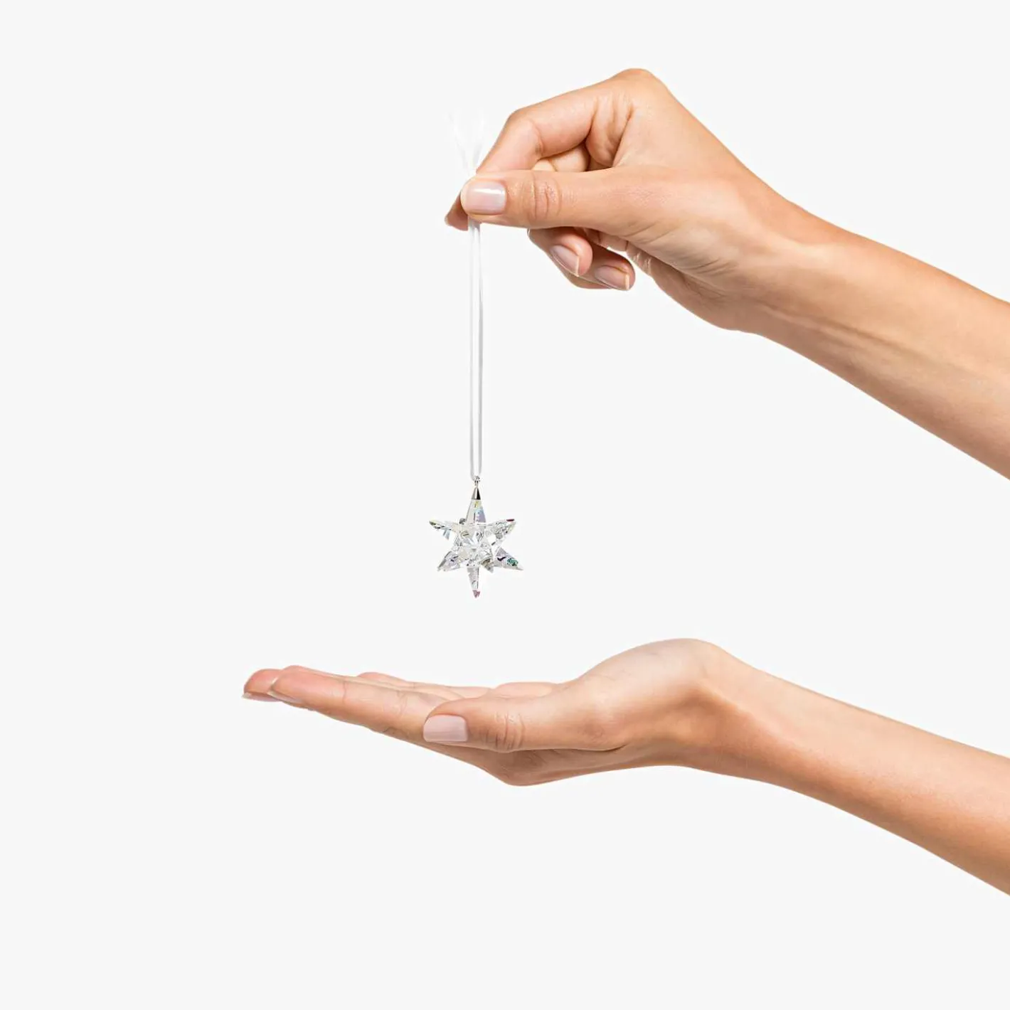 Stern Ornament